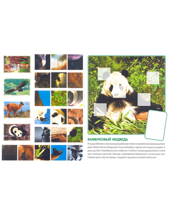 Кто живет в горах.Кн.с накл.