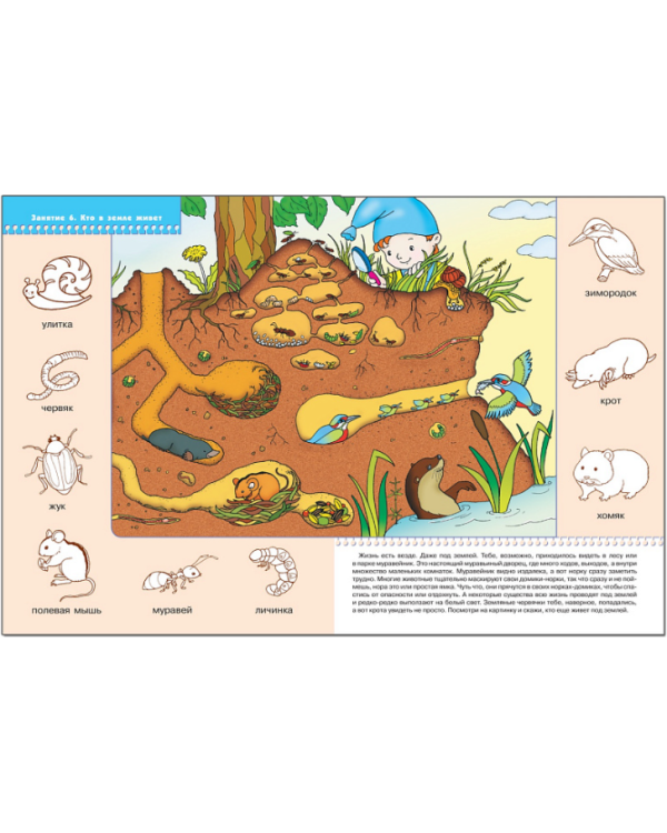 Кто где живет?