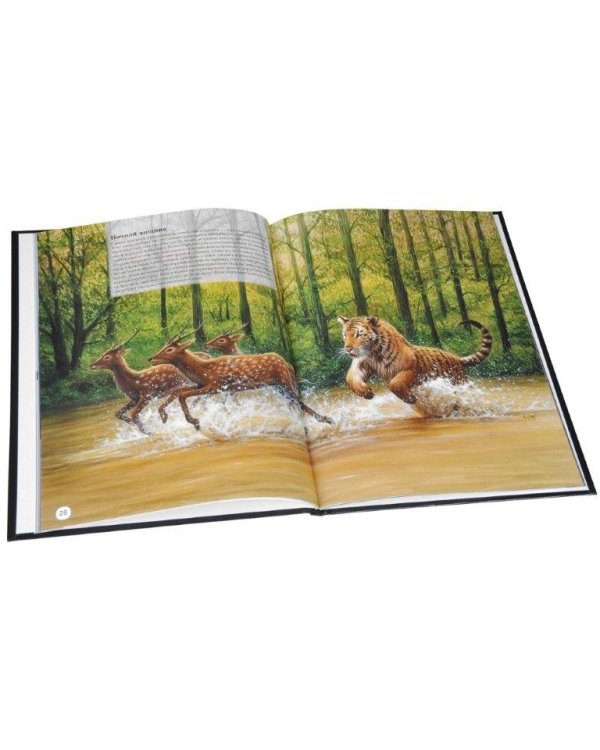 Чудеса природы.Энциклопедия