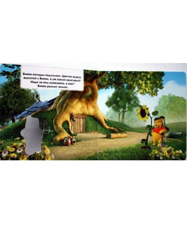 Мои друзья Тигруля и Винни. Солнечный цветок