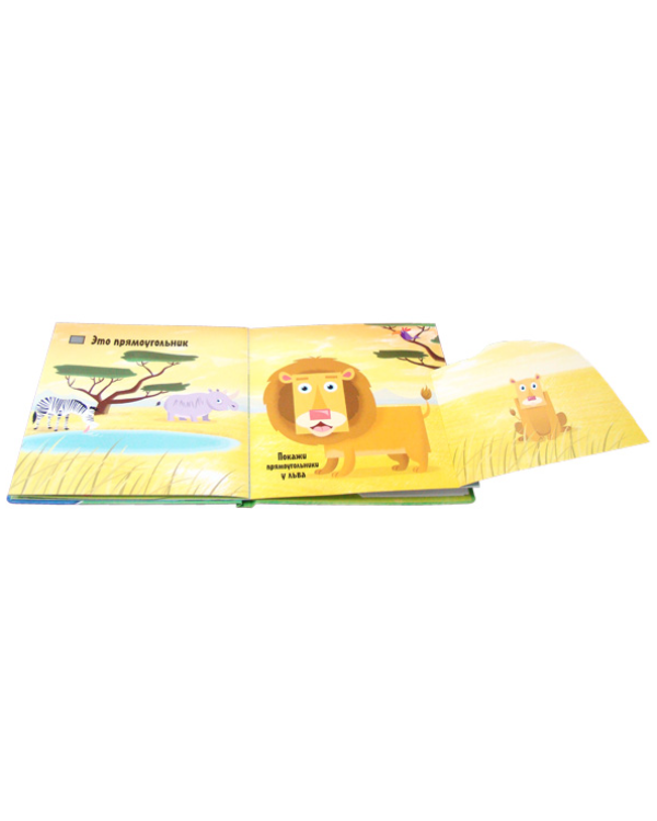 Кто бывает круглым?