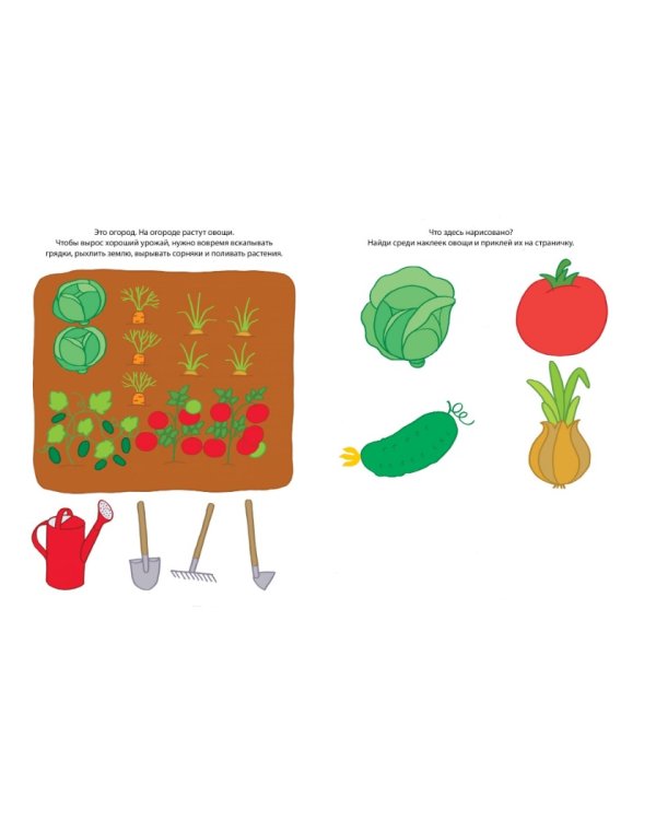 Знакомимся с природой +накл.2-3г.