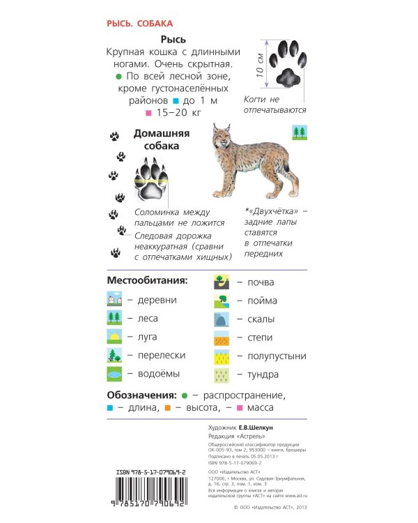 Животные. Определитель для малышей