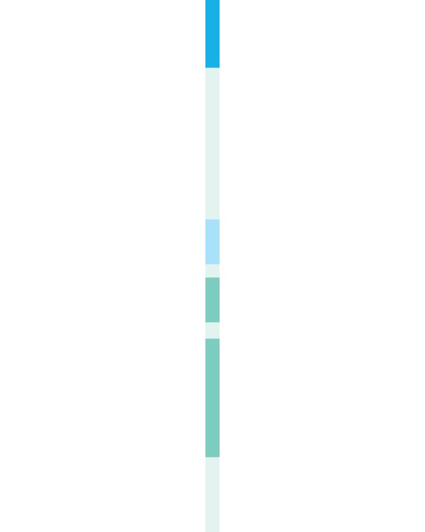 Вся математика, которую надо знать к школе