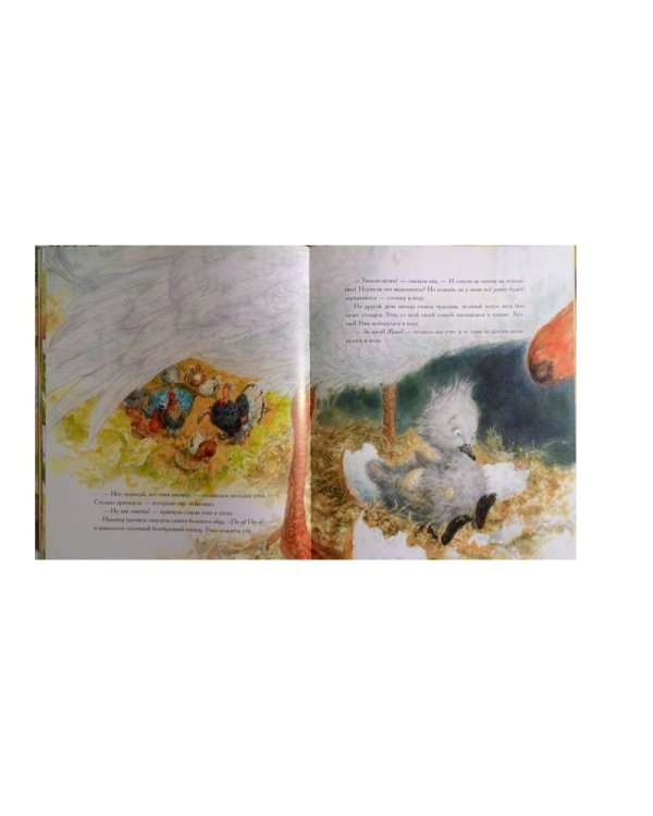 Гадкий утенок (иллюстр Ломаева А.)