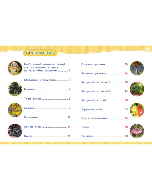 Мир растений