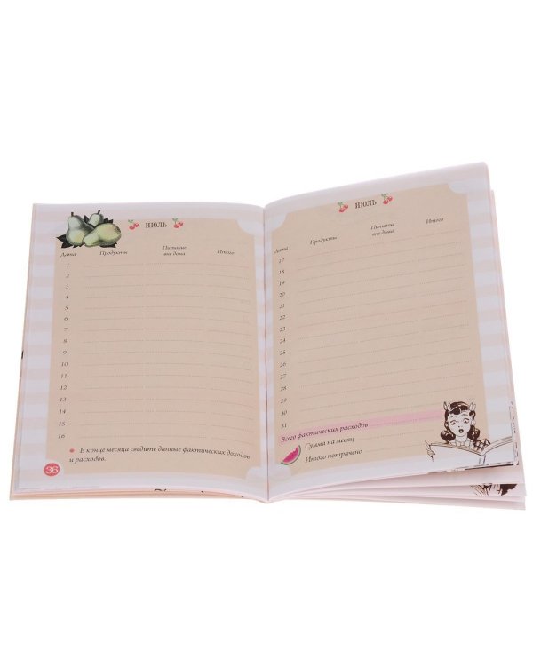 Книга планирования домашних доходов и расходов