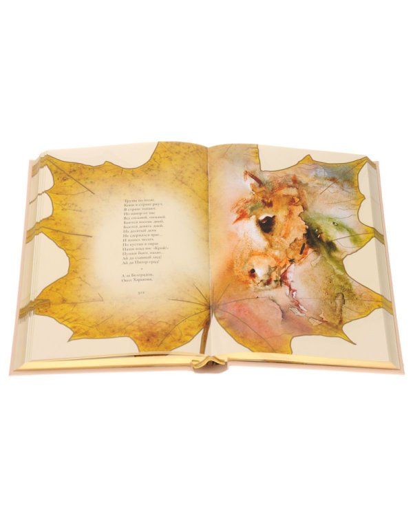 Клен заледенелый