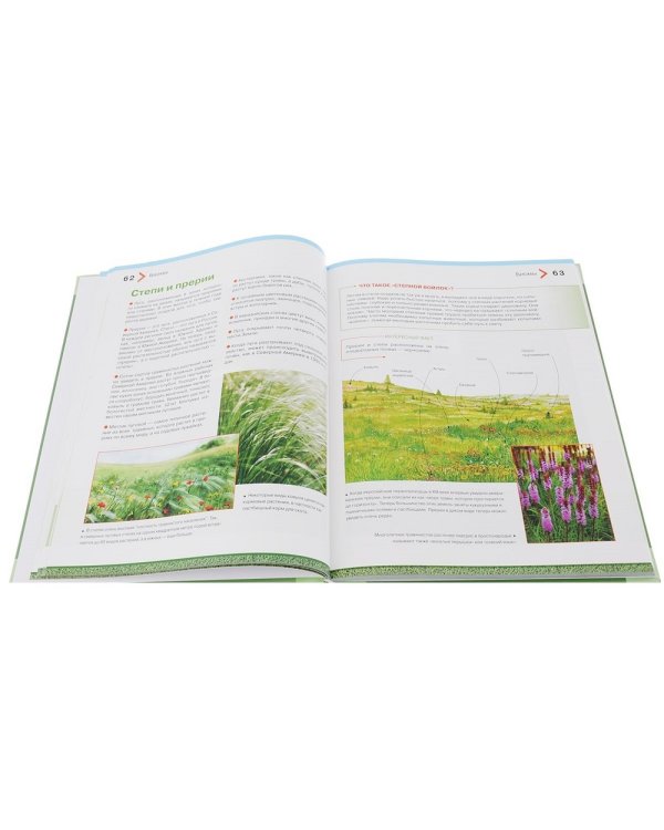 Большая энциклопедия растений для детей