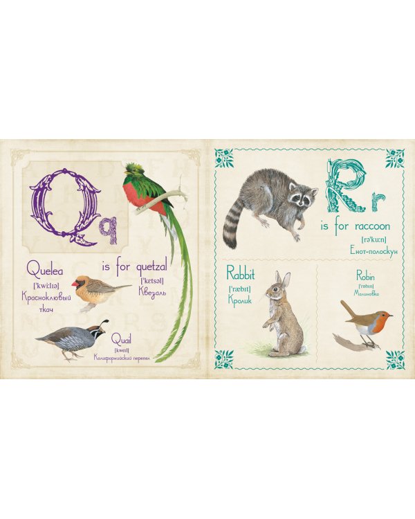 Живой английский