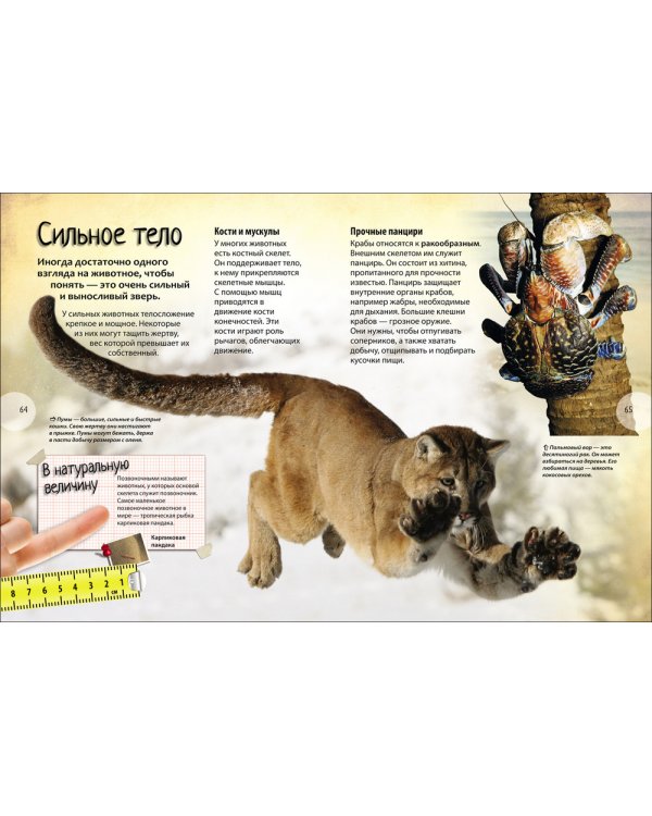 Самые-самые животные.Энциклопедия удивительных фактов