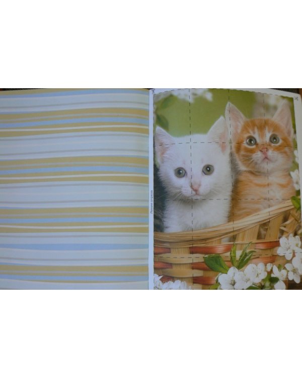 Первые слова