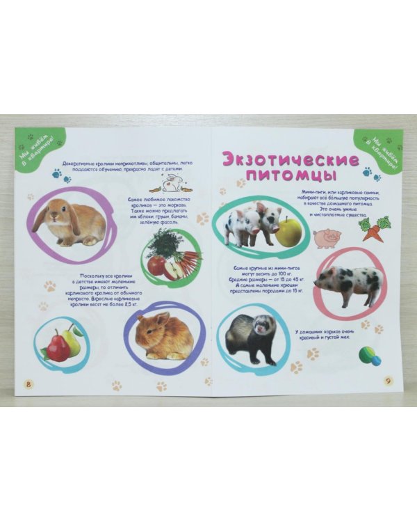 Домашние животные