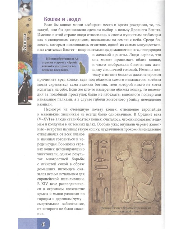 Все о кошках