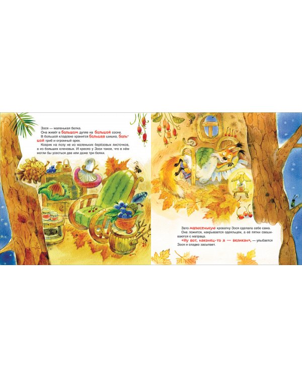 Зося – маленькая белка