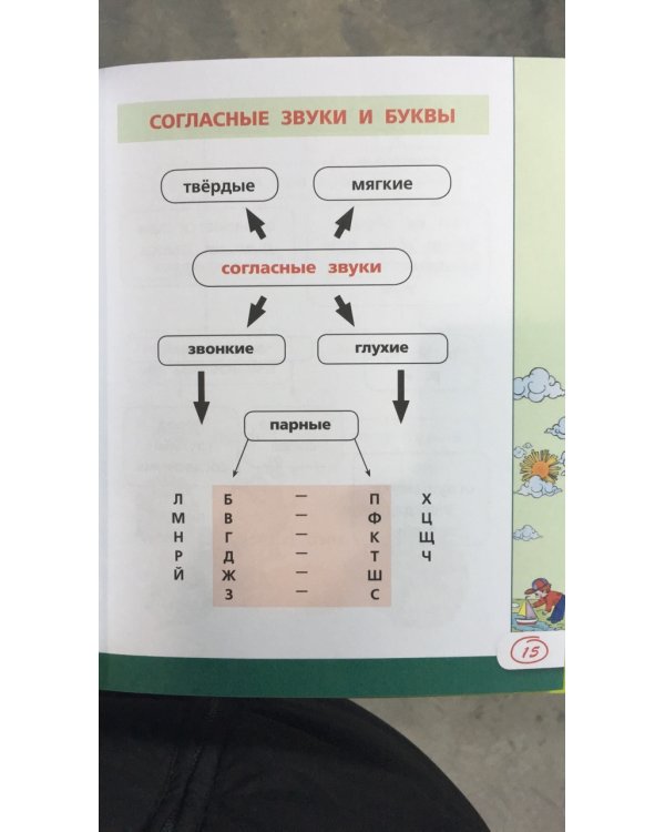 Все правила русского языка в картинках, схемах и таблицах