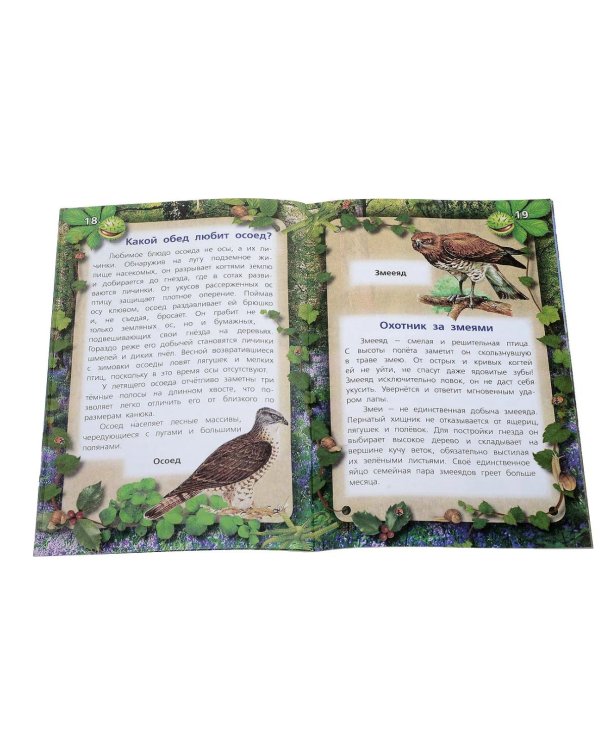 Пернатые хищники