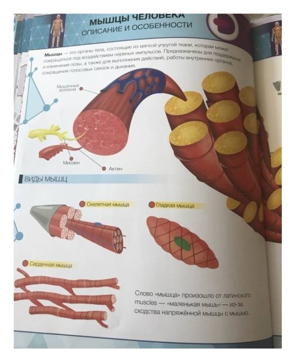 Энциклопедия. Анатомия 4D