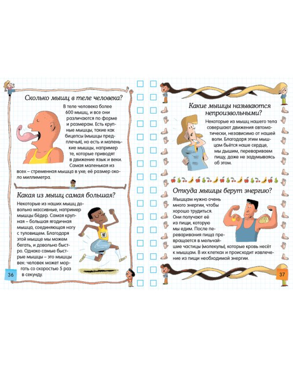 Тело человека