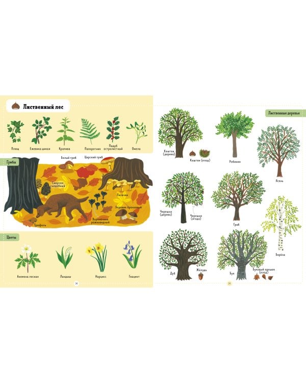 Я знаю 1000 слов о природе