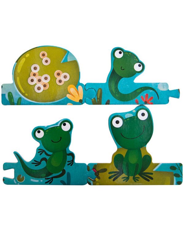 Как растет лягушка (книга с пазлами)