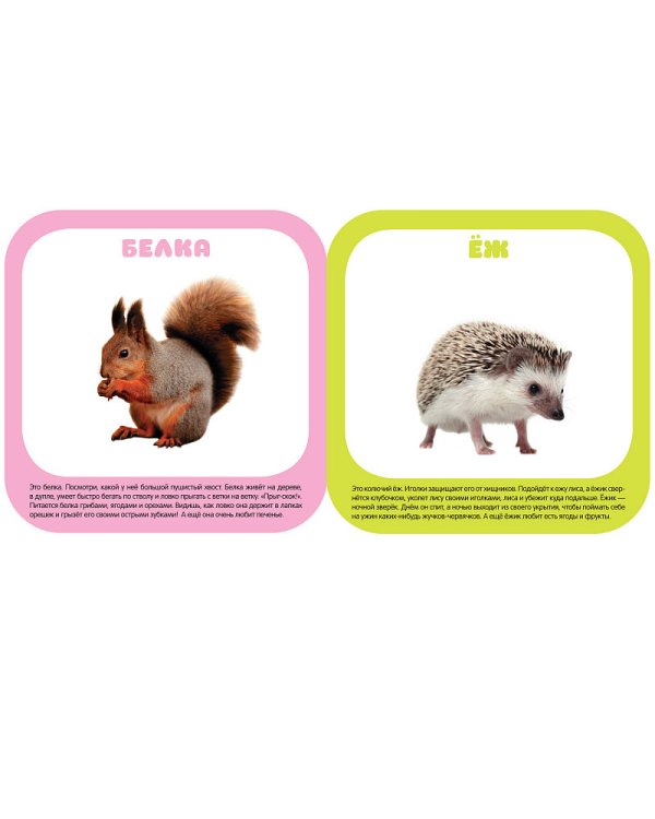 Лесные животные