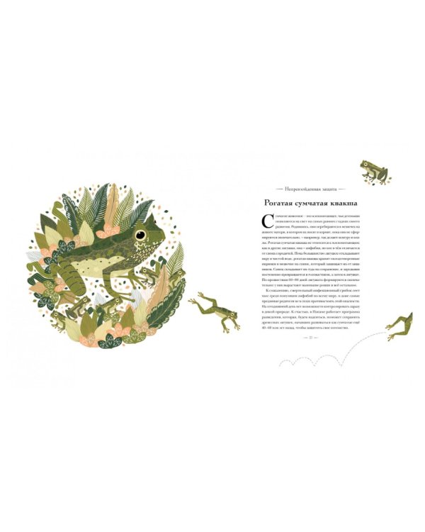 Книга исчезающих животных для неравнодушных сердец