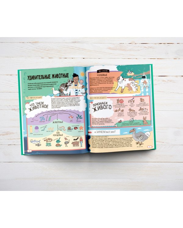 Из чего все сделано? Атомы и материя