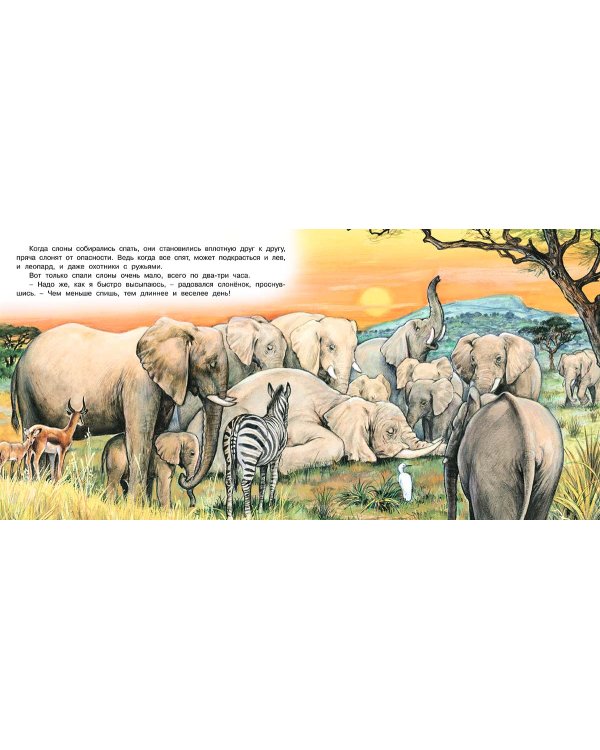 Приключения слонёнка