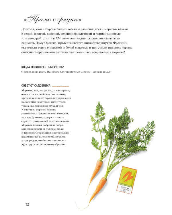 Французская вышивка крестом:Любимый огород Вероник Ажинер