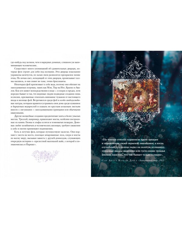 Книга Фей. Волшебный путеводитель по страницам фолиантов, глубинам тайных знаний и вершинам изящных искусств