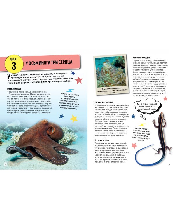 Всё об окружающем мире с научной точки зрения