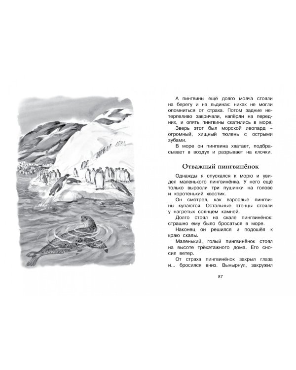 Беспокойный хвостик