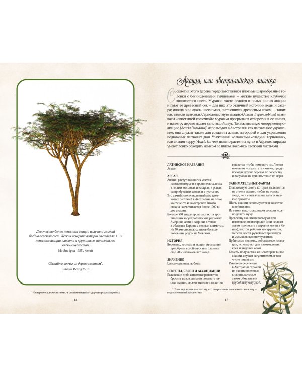 Тайный язык деревьев