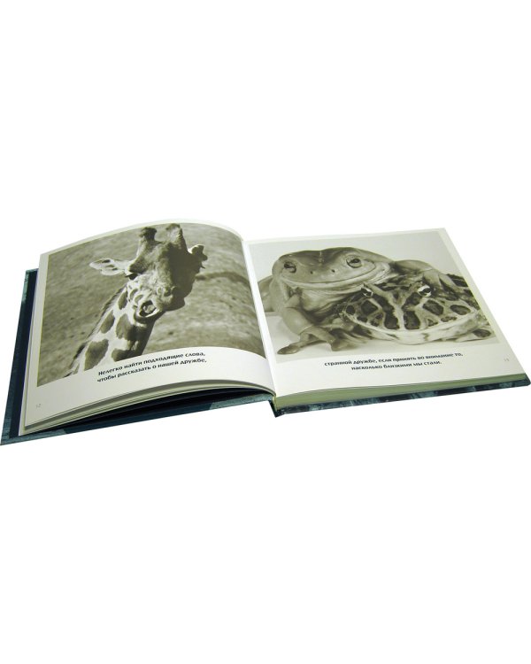 Друзья навеки. Подлинная ценность дружбы