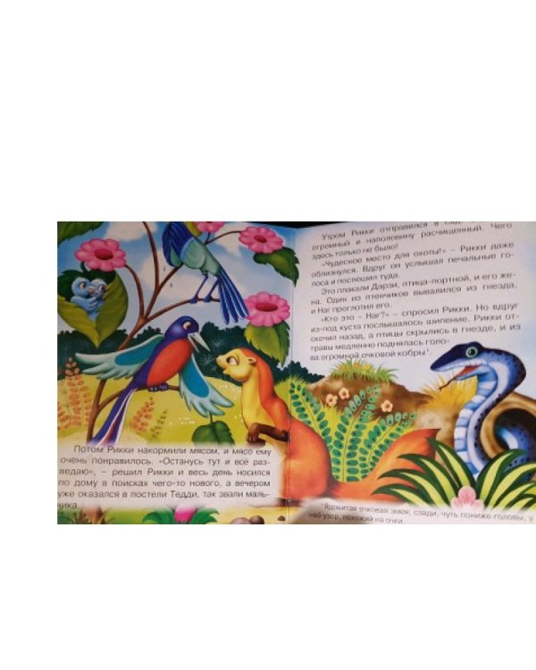 Рикки-тикки-тави