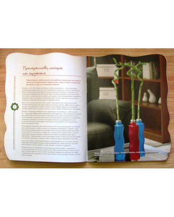 Самые красивые и неприхотливые комнатные растения / Волкова Е.