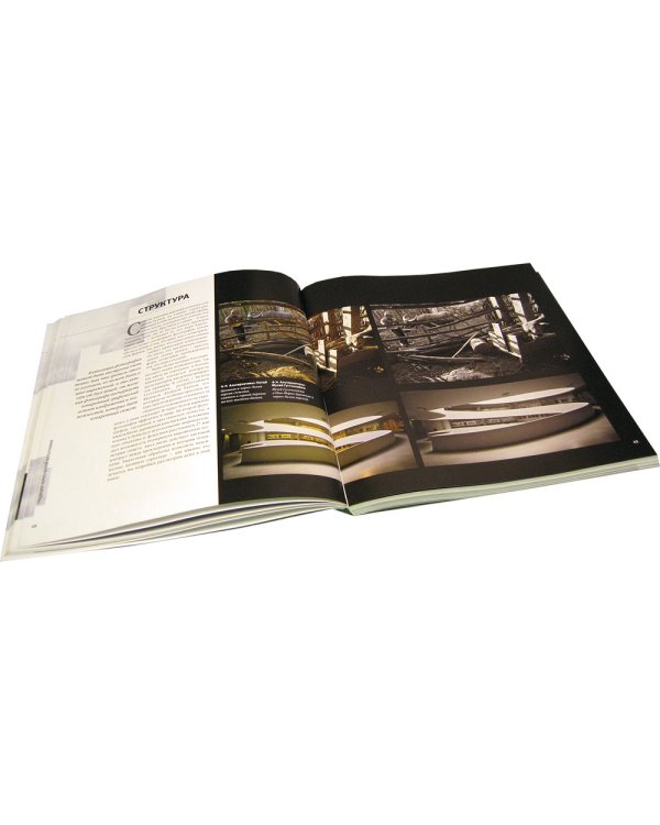 Черно-белая цифровая фотография. Профессиональное практическое руководство по созданию стильных творческих фотографий в самом интеллектуальном жанре современного фотоискусства