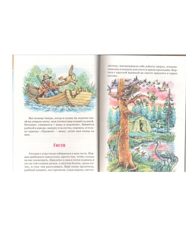 Лисичкин хлеб. Рассказы