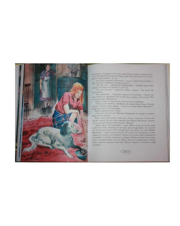 Белый Бим Чёрное ухо