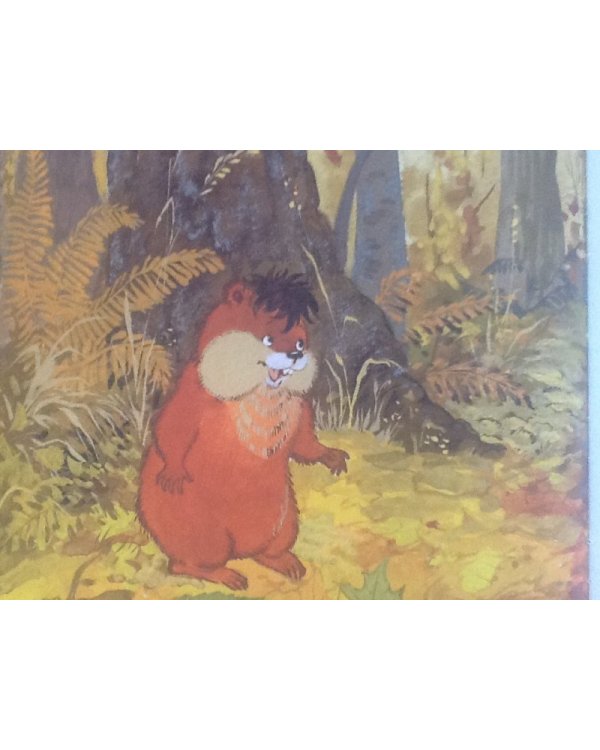 Приключения Хомы и Суслика