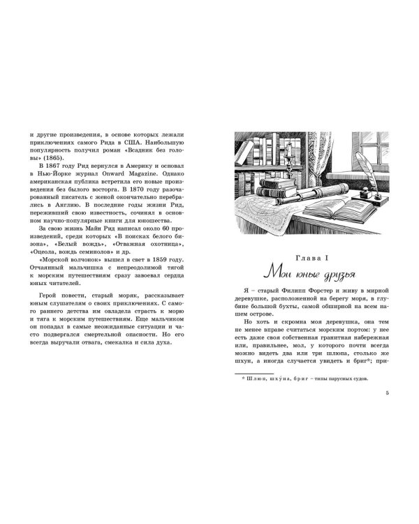 Морской волчонок