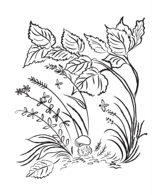 Раскраска. Под грибом