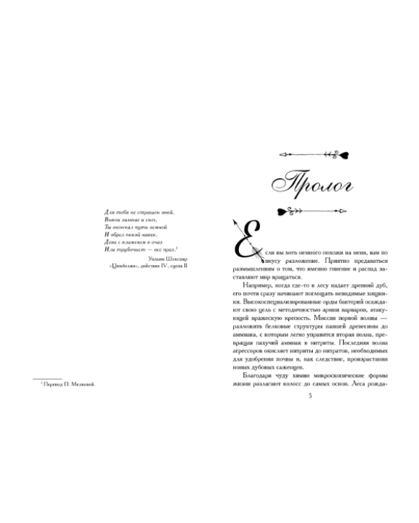 Сэндвич с пеплом и фазаном