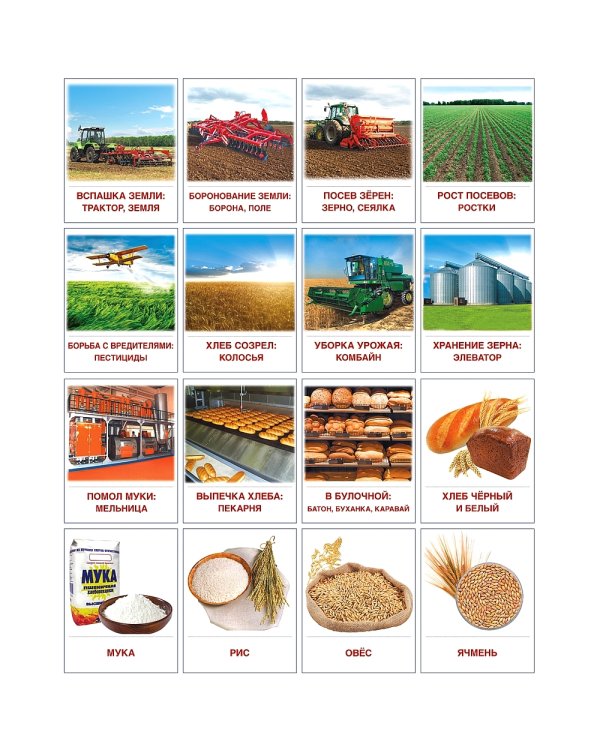 Раздаточные карточки "Хлеб всему голова" (16 карточек)