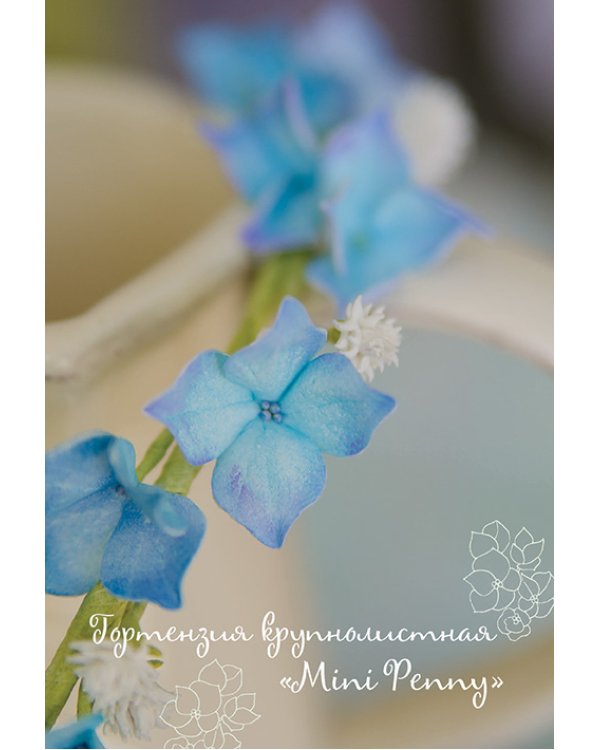 Цветы из фоамирана.Стильные аксессуары