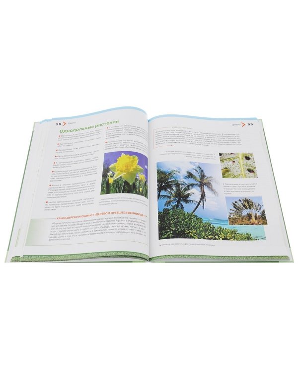 Большая энциклопедия растений для детей