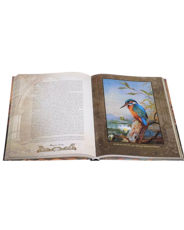 О чем говорят цветы