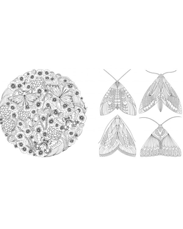 В царстве животных. Книга для творчества и вдохновения