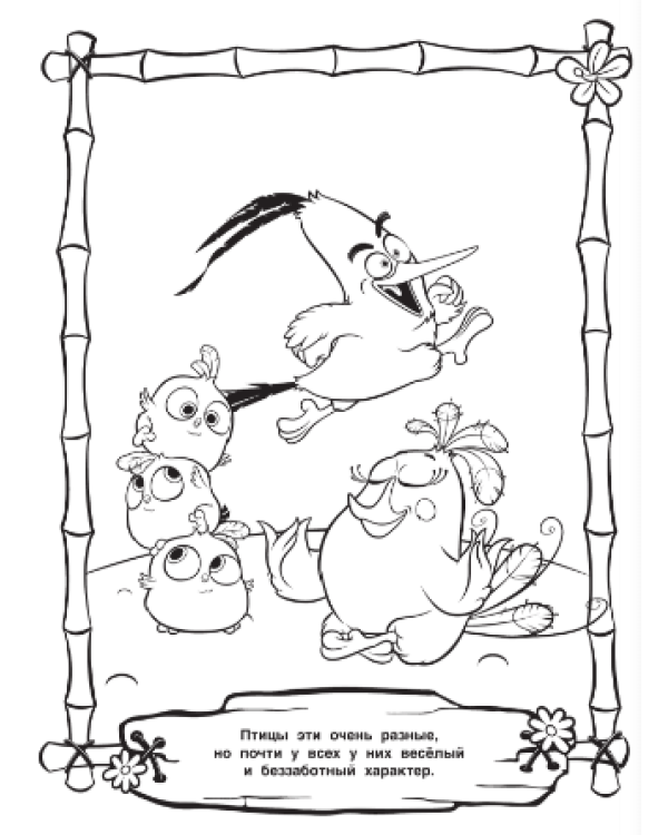 Раскраска. Angry Birds